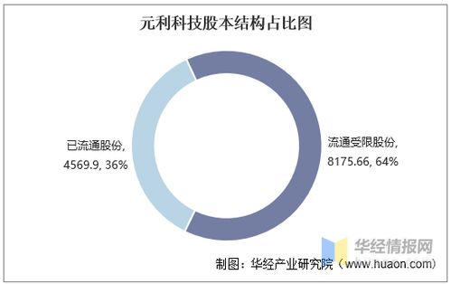 元利科技2016-2020年财务表现与资产效率探析