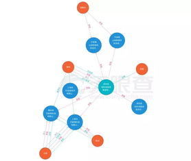 中国芯的第一次突围战 资产管理与咨询的启航
